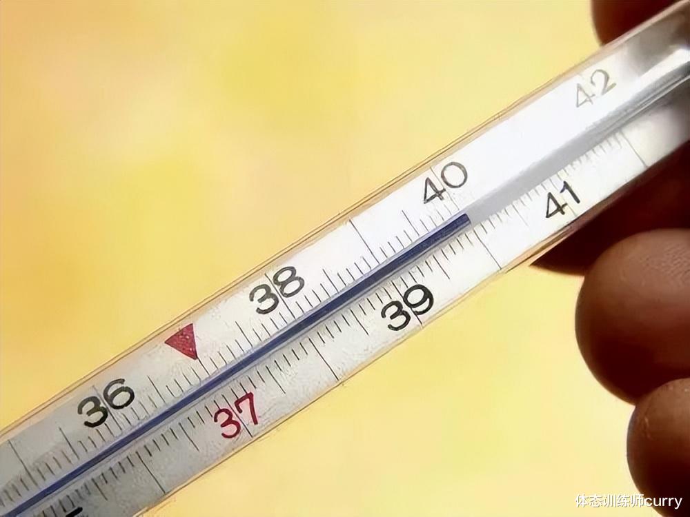 鸡蛋|发烧时，坚决不能吃鸡蛋，有科学道理吗？提醒：别做无意义的事