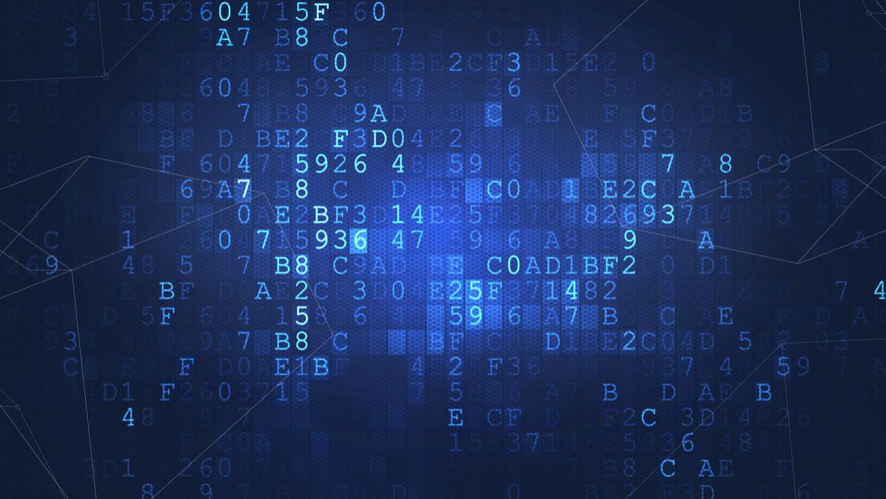 天使轮|600万卖家狂喜！巨头终于松口了