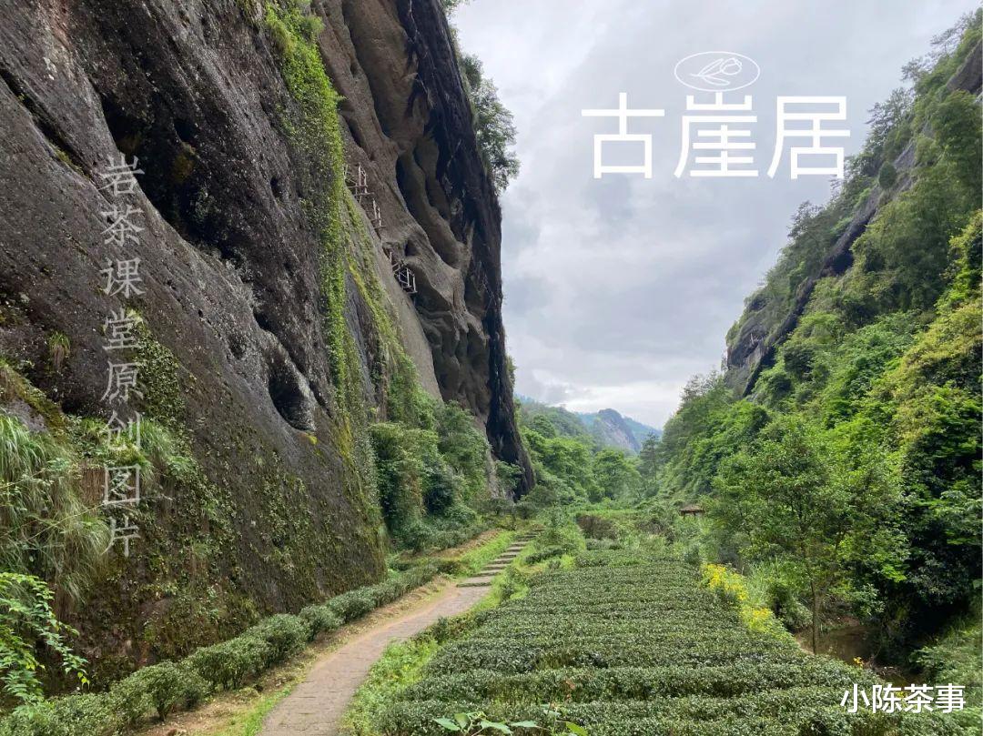 武夷山|章堂涧、古崖居、鹰嘴岩，现场实拍图还原，3分钟带你认识慧苑坑
