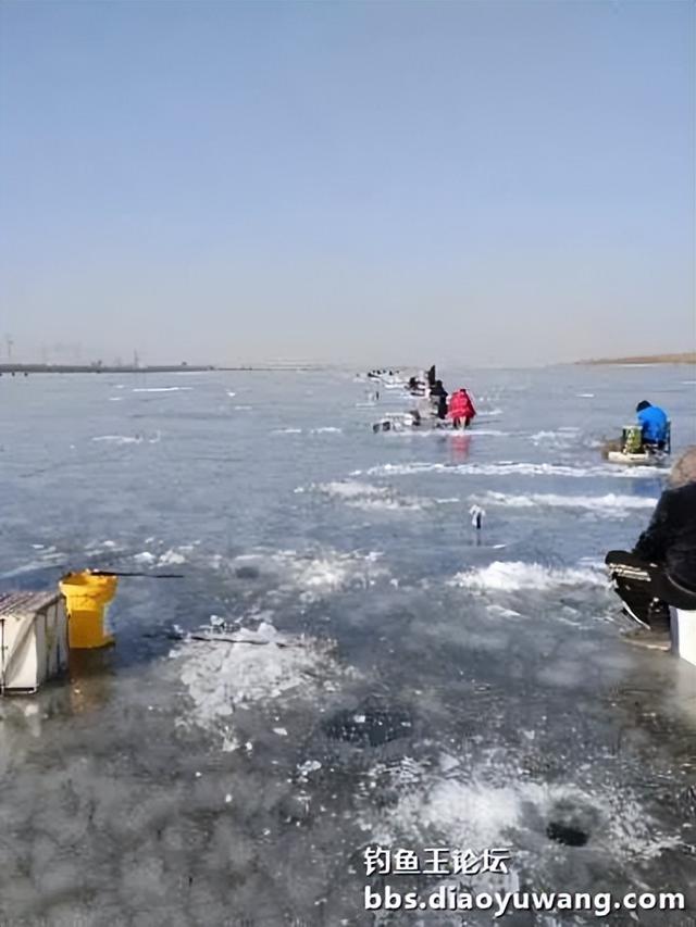 面食|冰钓用面食，钓鱼王红虫没让我失望！