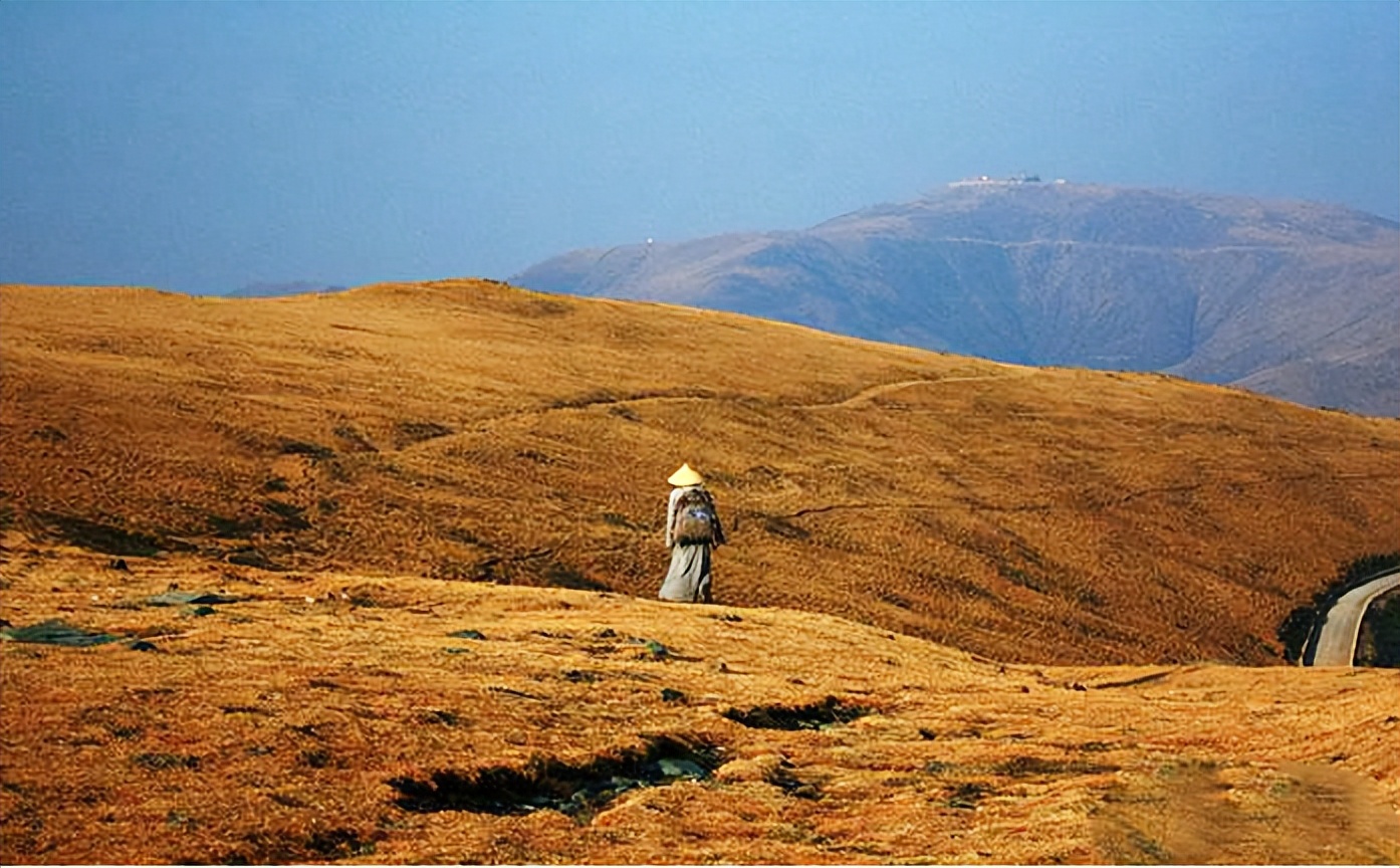 徒步旅行|走，一起去户外迎着风，追光