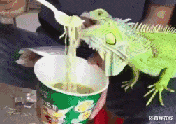 叛逆者|“乔杉如果在洗脚城被抓，会退出演艺圈吗？”神评笑死人，哈哈哈