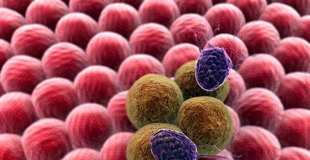 120万一针抗癌药，中国首例CAR-T治疗患者，如今怎么样了？