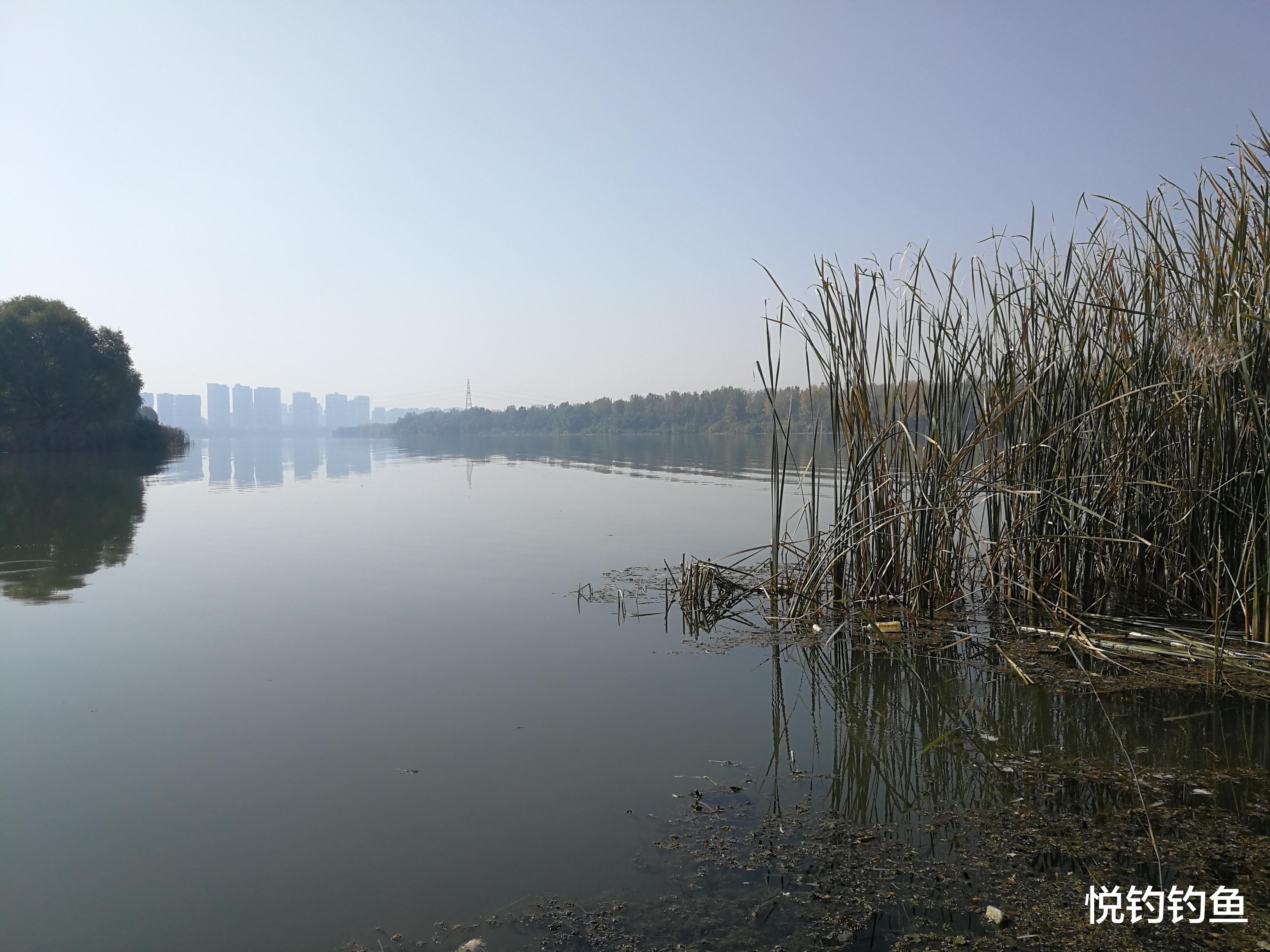 |作为一个钓鱼新手,怎么才能成长为老钓手?