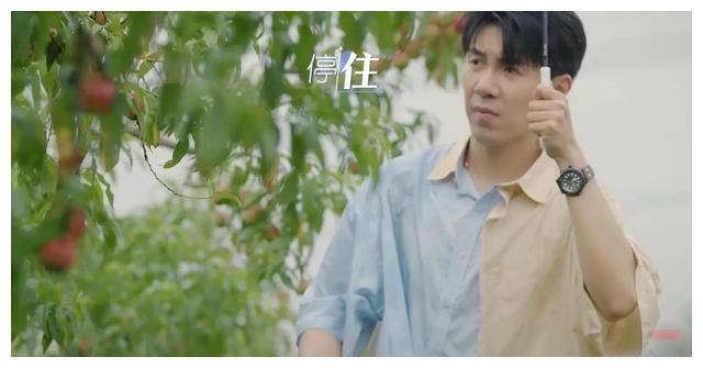 |心动的信号:看懂3位男嘉宾喜欢肉肉的原因,才明白她的深藏不露