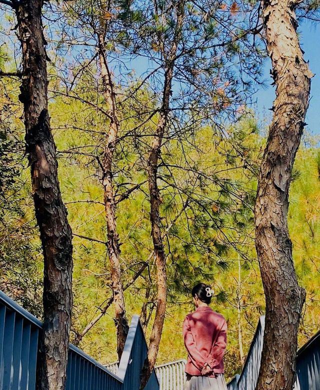 赵丽颖|赵丽颖条纹长裙阳光明媚户外写真