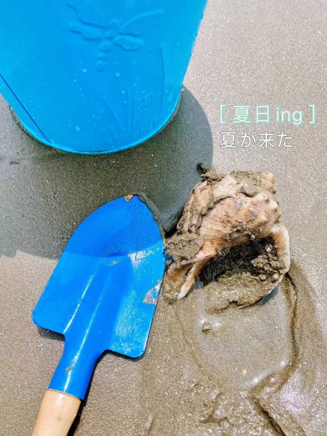 丹东|夏天26℃，中国最美边陲小城丹东，海鲜比青岛还带劲！