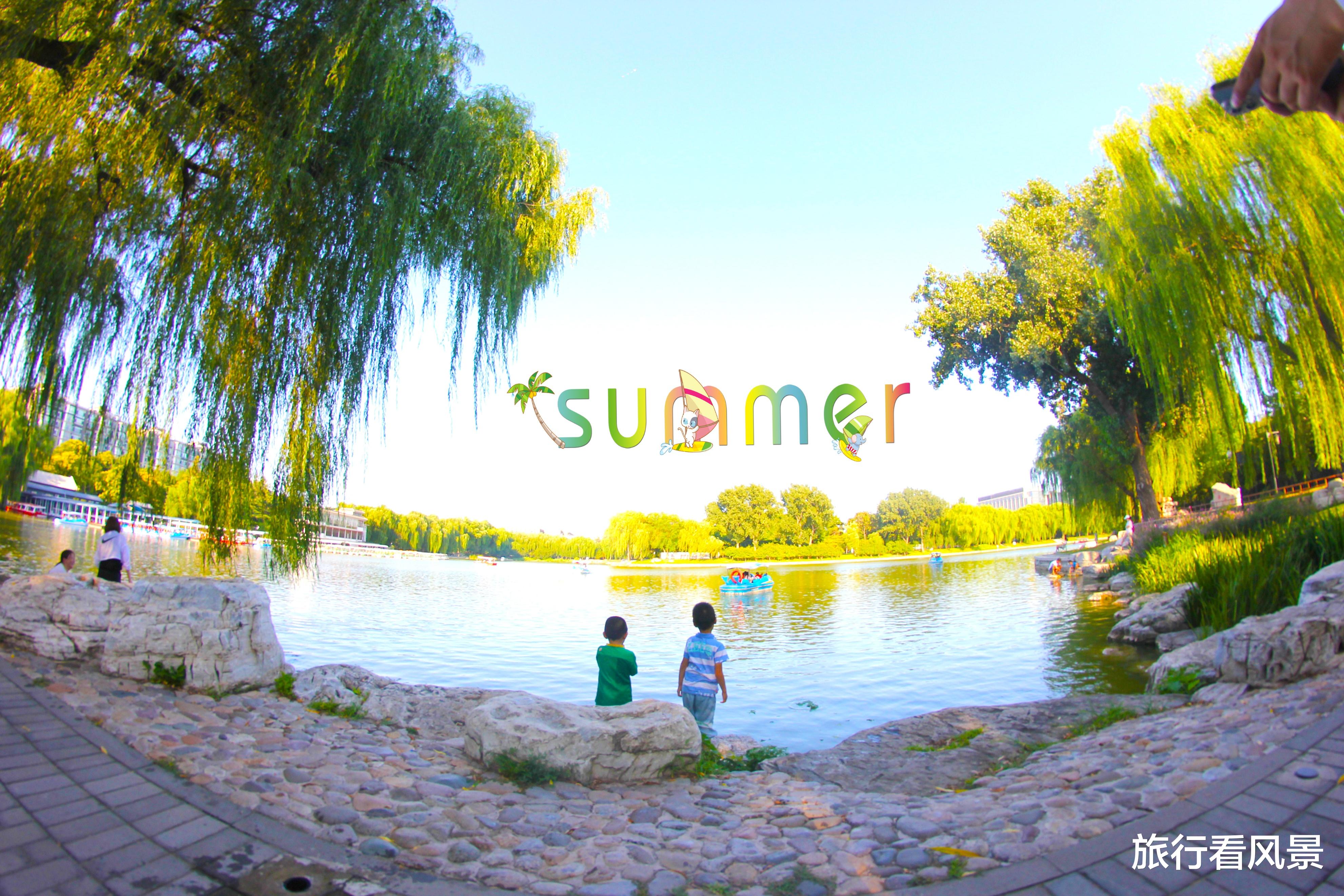 北京市|北京赏荷宝藏公园，仅需2元穿越江南梦境，画面美得不真实