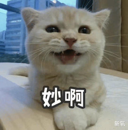 |她就是过气艺人的真实写照吧？人前光鲜亮丽，实际一地鸡毛…