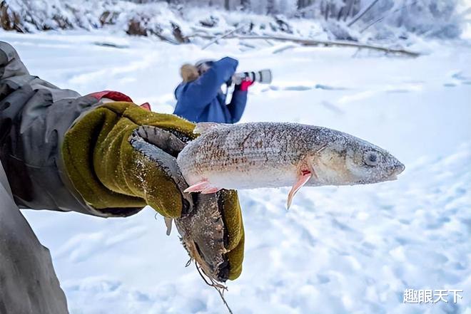 泰国|俄罗斯极寒小镇：最低零下72度，香蕉可以当成锤子用，厕所还不能建屋内！