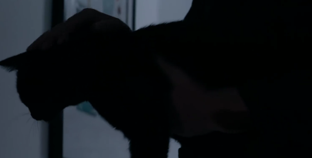 执念如影|执念如影:卓凯跳楼自杀,他被算计,或被下药因而产生幻觉