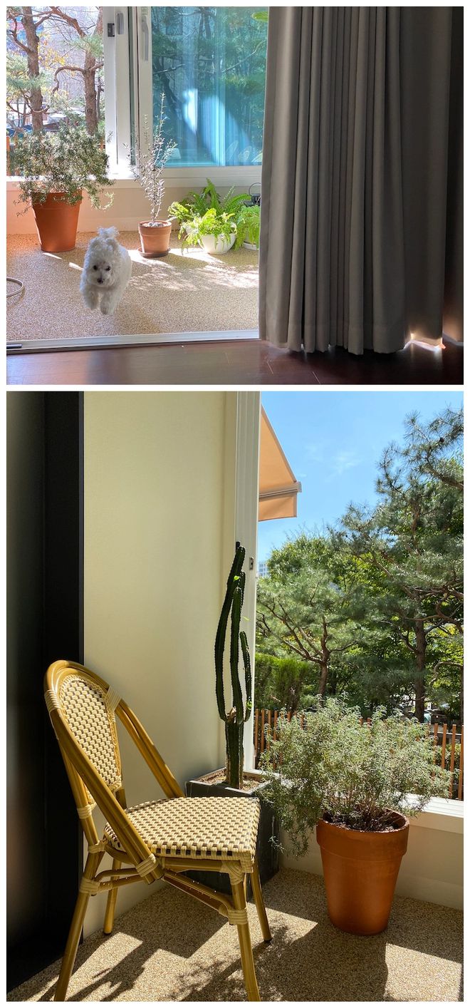 这位80后太太很有眼光，买下被人嫌弃的一楼，装修后被超多人羡慕