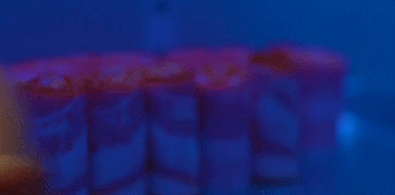 鸡蛋|一口气10集,网飞新剧萌得我一脸血