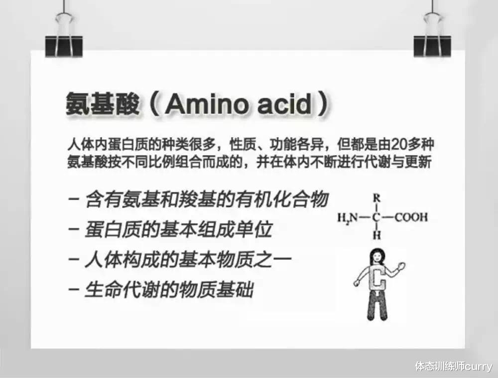 蛋白质 天天吃水煮菜减肥?不了解蛋白质,你可别说你在“减肥”了