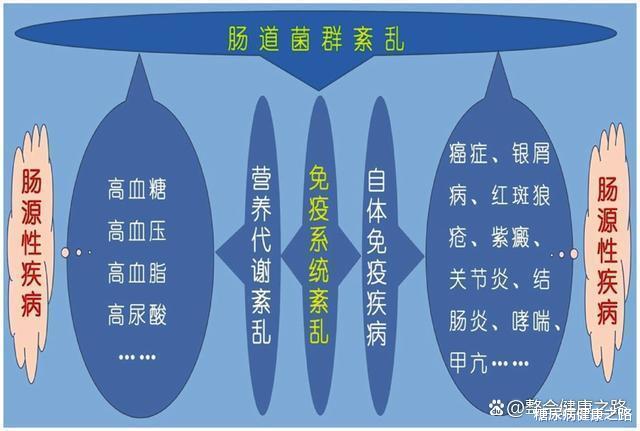 血糖|肠道菌群重建案例:空腹血糖从10到5,减5公斤,逆转一年依然正常