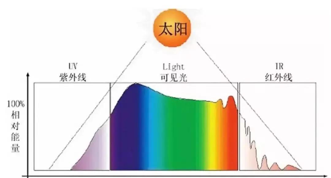 世界上有没有黑花植物?为什么?