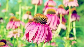 长沙|女子带小孩坐公交强怕他人让座：人性最大的恶，是把自己太当回事