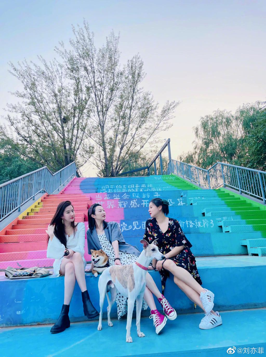 tiktok|刘亦菲晒国庆假期九宫格照，白色连衣裙超级性感，身边狗狗抢眼