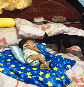 住博会|“老公车里发现的,我该怎么办?”离了吧