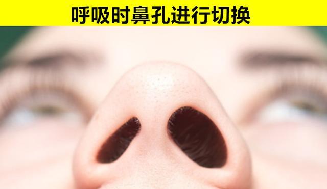 人类和香蕉DNA相似50%?关于人体的9个你或许从不知晓的冷知识