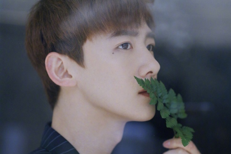 帅哥|脸上长痣也帅的男星,只服这10位,不仅没给颜值减分,还有辨识度