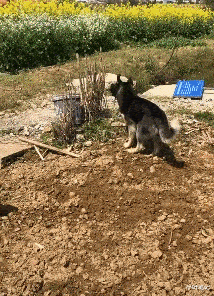 “小伙想找个萝莉女友,为啥就是遇不到?”网友的评论笑岔了气!