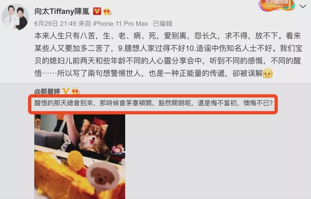 郭碧婷|有种“整容”叫郭碧婷结婚，老公向佐变化不大，她却像换个人