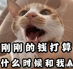 孙怡|离婚后,再也不用忍受别人说她是蹭婆婆资源了!