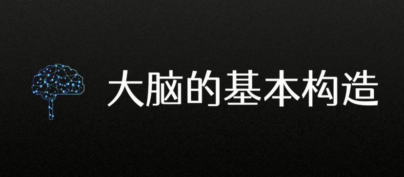 如何让大脑更强大？打造最强大脑的5个关键要素