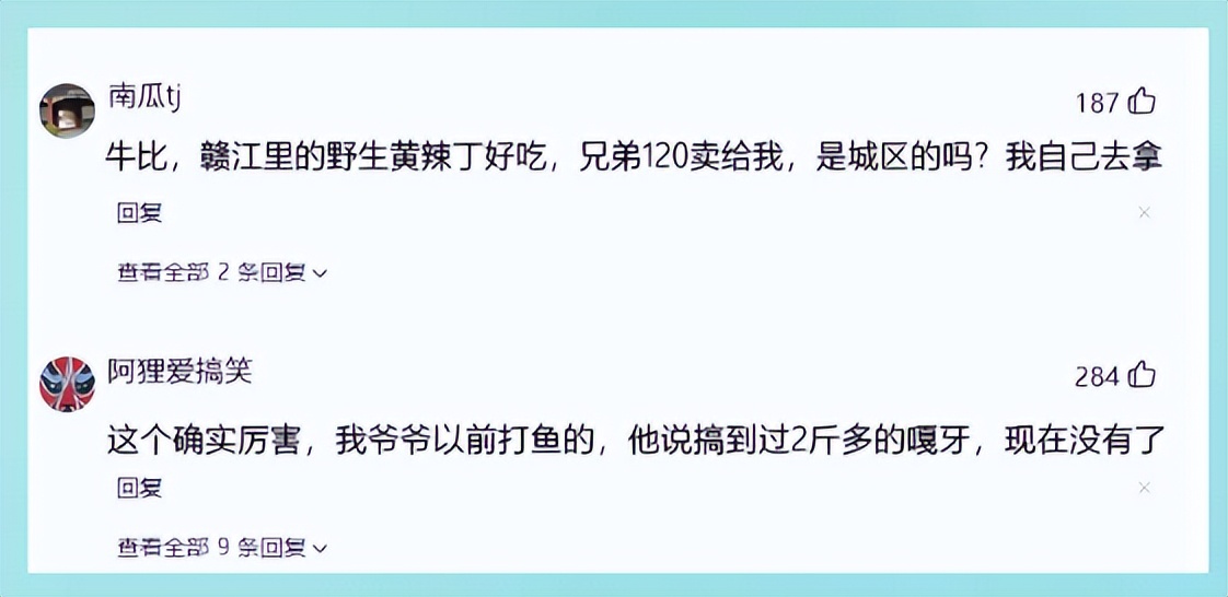 |江西钓友钓到一斤二两重\黄鸭叫\，不识好货险出售，实际是啥鱼？