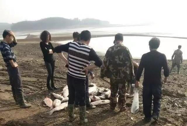 富不还乡!50岁男子“投资老家”遇纠纷:羁押234天后积郁病逝!