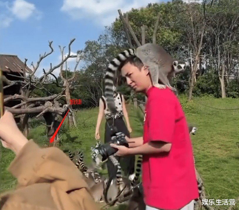 王思聪|王思聪带4位美女看猴,单膝跪地为慎婕闺蜜拍照,网友:地位不保