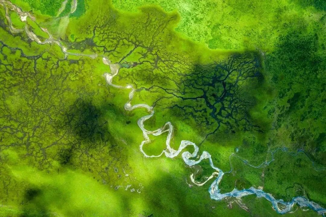 新冠状病毒疫情,到底什么时候结束?根据科学原理,还看不到未来