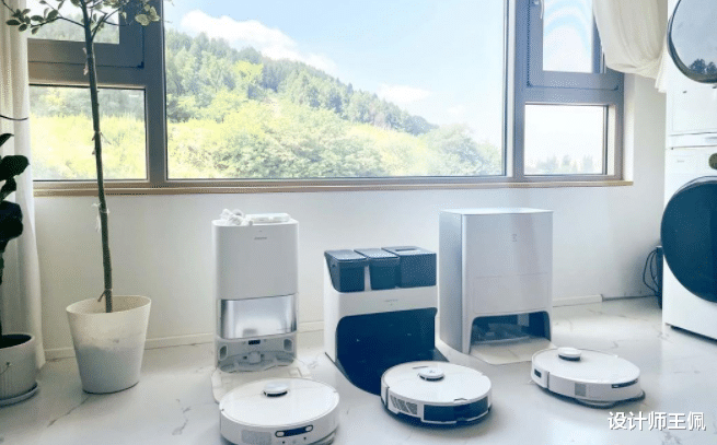 “糊弄式家务法”的悄然流行,并非巧合,是梦想照进了现实