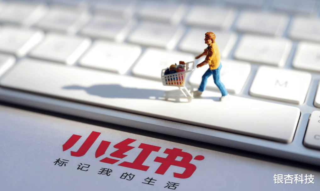 小红书的草长歪了,易种难拔