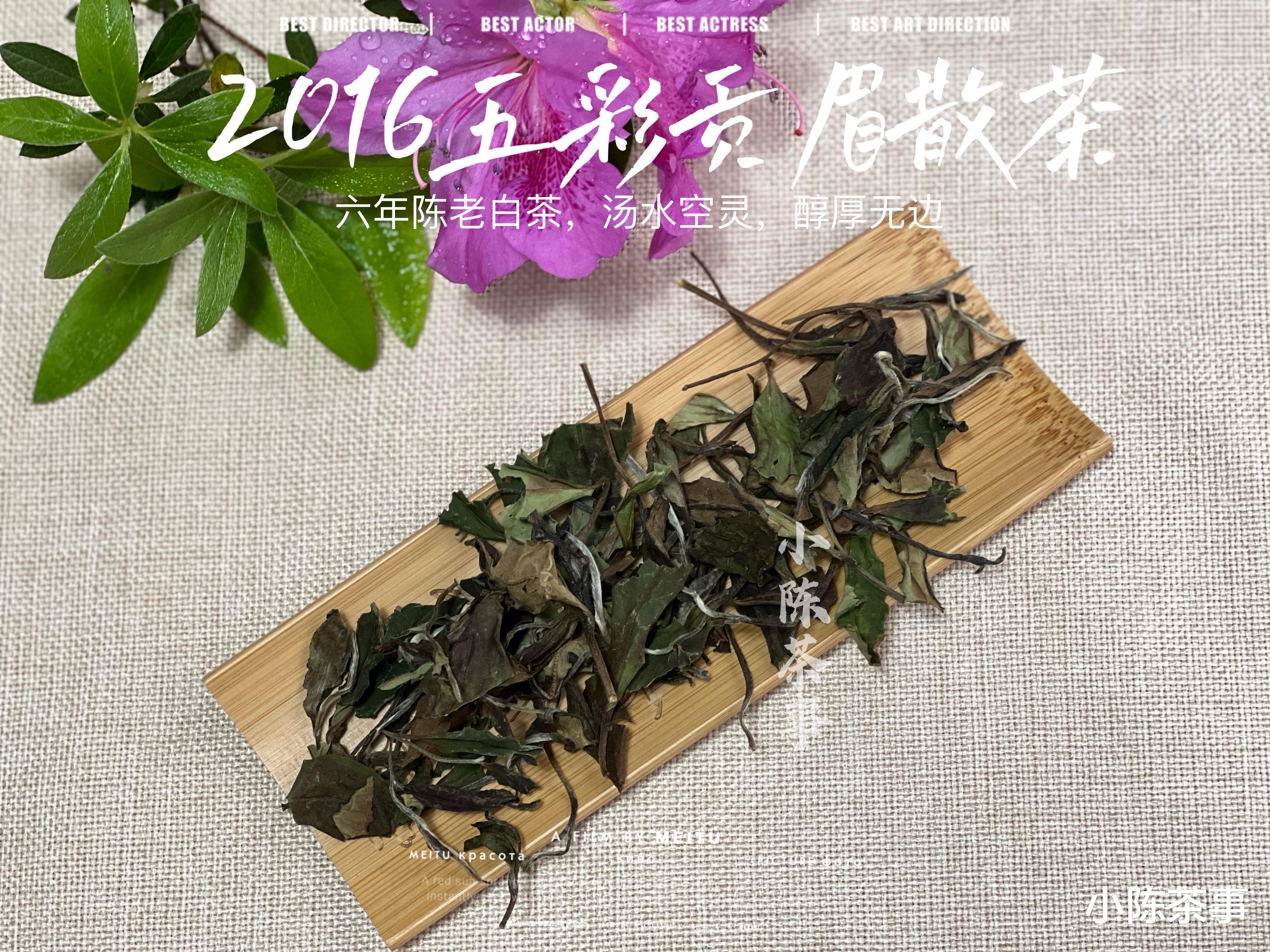 放了5、6年的白茶霉味很重,是怎么回事?不是说能越陈越香吗?