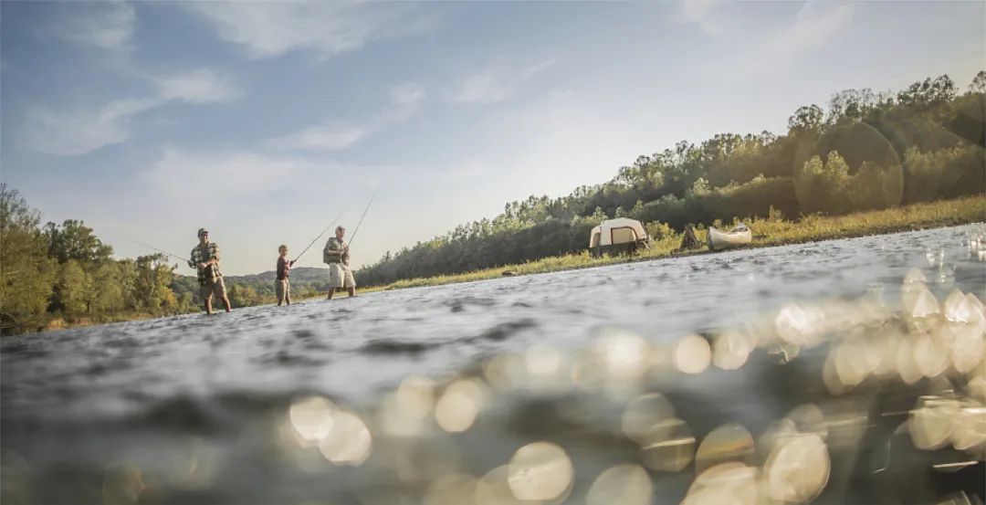 净利润|餐饮的成败，由什么决定？