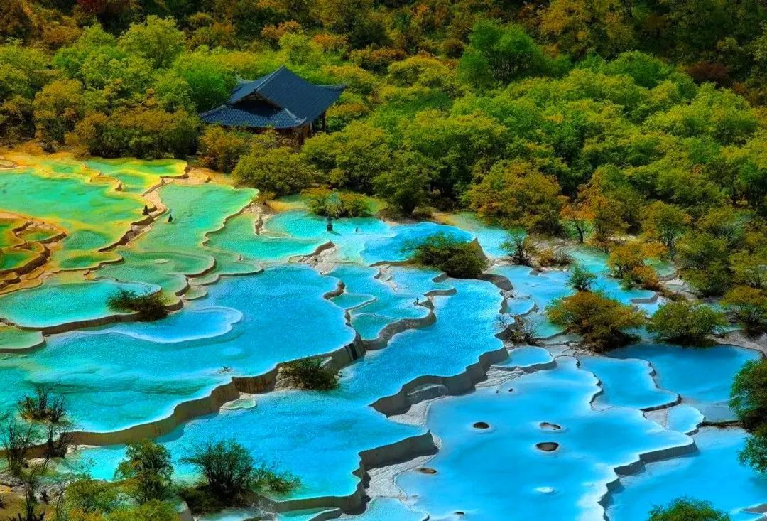 九寨沟|金秋九寨，美的像天神的后花园