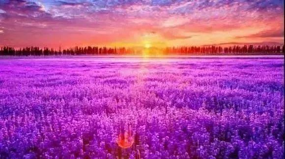 广东省|没有来过这5个地方，就不算到过伊犁