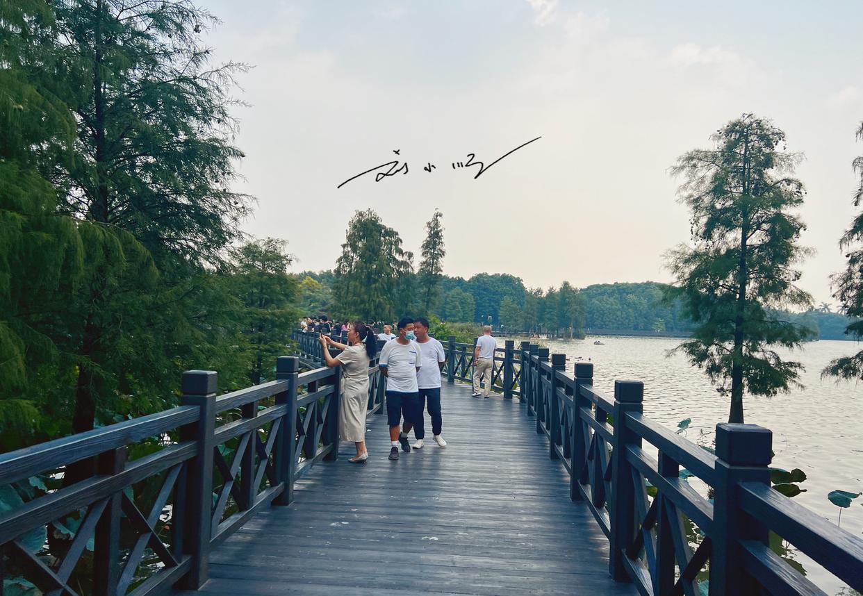 广州市|广州市中心有一片“海珠湖”,可以远眺广州塔,风景堪比杭州西湖