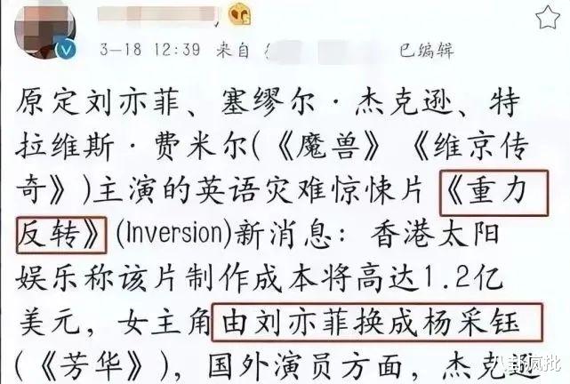 陈金飞|陈金飞杨采钰离婚？干爹重新力捧天仙！