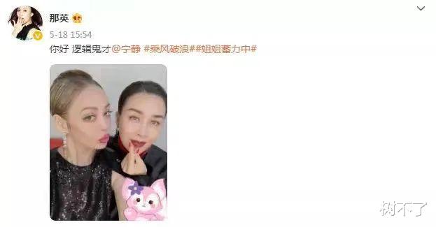 那英|娱乐圈唯一一对，互相“羞辱”却全网嗑的CP