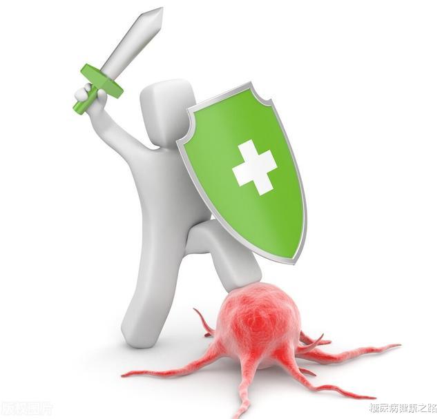 血糖|β葡聚糖不仅改善血糖、血脂，还能调节免疫系统，减少癌症风险