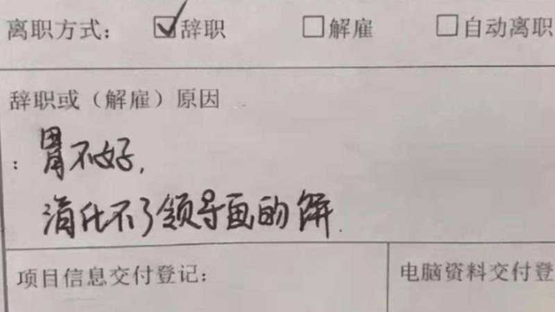 00后|反内卷不加班，怒怼HR手撕老板！靠00后整顿职场？当真你就输了