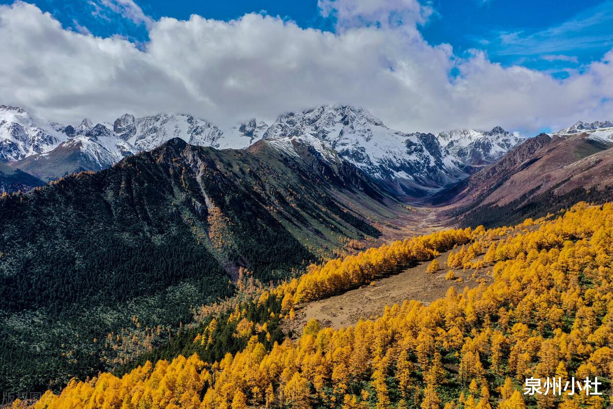 安徽|白茫雪山：一匹飞腾的骏马，动植物的王国，真正的白马王子