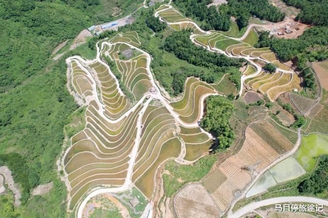 贵阳|浙江温州新晋避暑胜地, 7月来泰顺探秘华东大峡谷, 感受别样慢生活