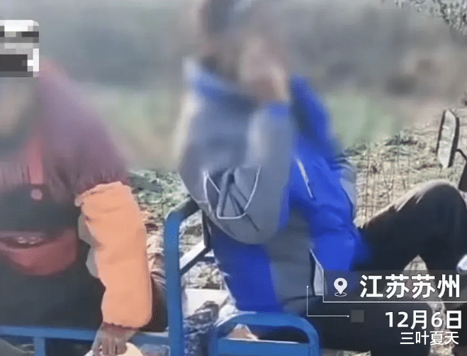 江苏苏州,一对老人光天化日当面偷菜,扬言:“我70多了,你报警吧!”