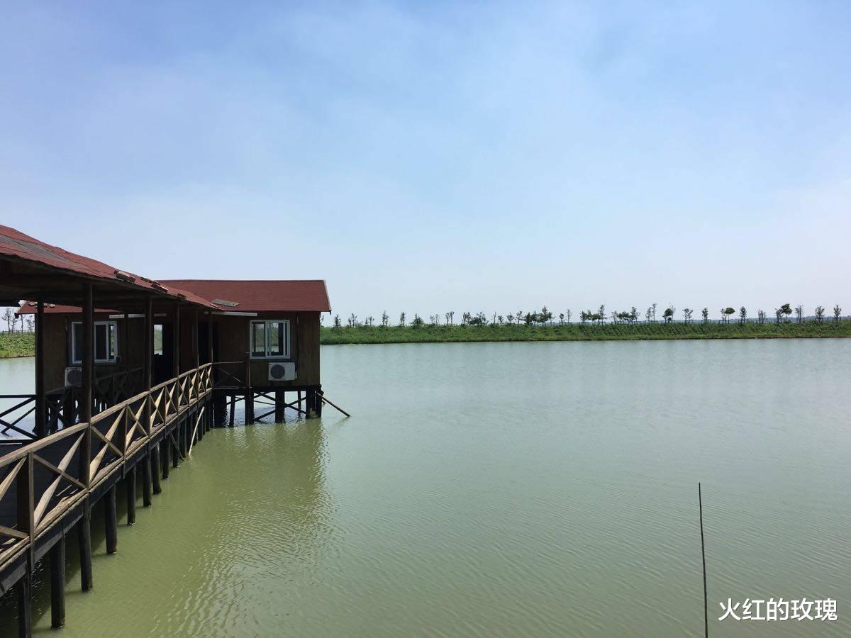 怀来|上海面积第一大湖，有“东方日内瓦湖”之称，是上海水源地之一
