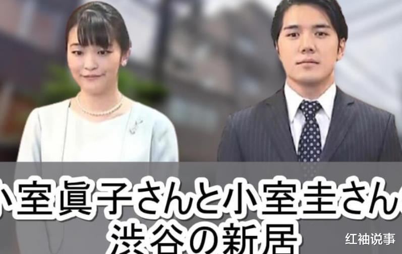 真子后悔下嫁小室圭,留在美国靠啃老度日,生活拮据沦为了笑柄