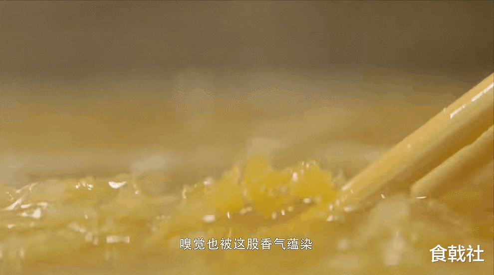 谁能告诉我，白菜到！底！是！什！么！